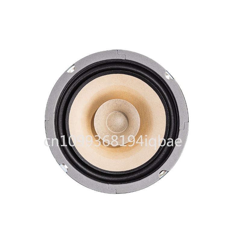 Een paar Lii Song 8-inch 8 ohm - Diy Speaker recensie en prijs