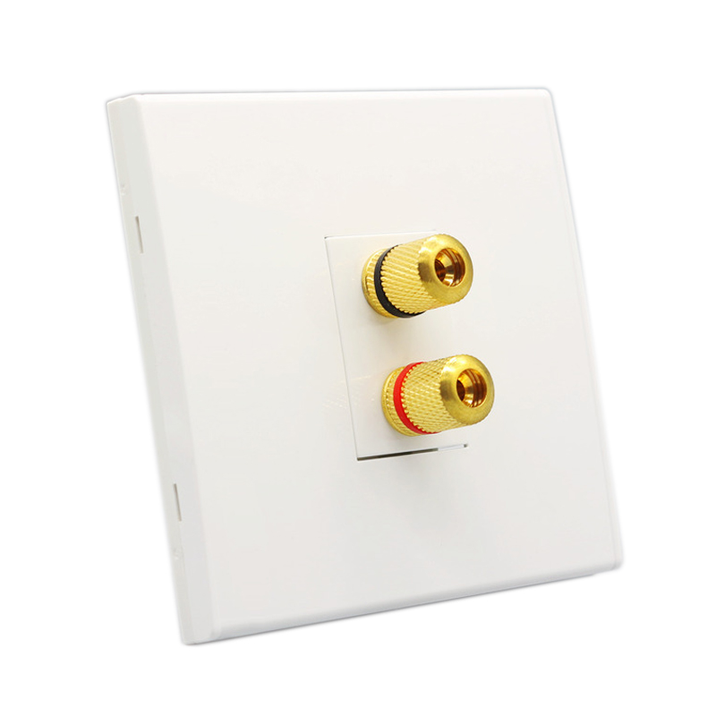 Audio Luidspreker Muur Panel T - Speaker Terminal recensie en prijs