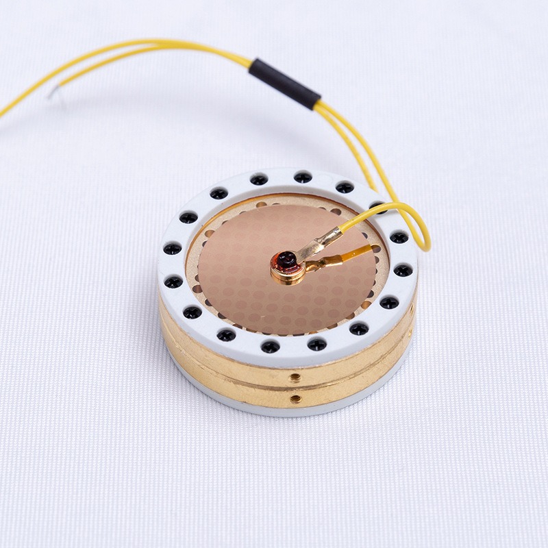 RK-87 Grote Diafragma Microfoo - Microphone Capsule recensie en prijs