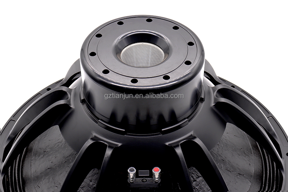 21'' Professioneel Audiosystee - Subwoofer recensie en prijs
