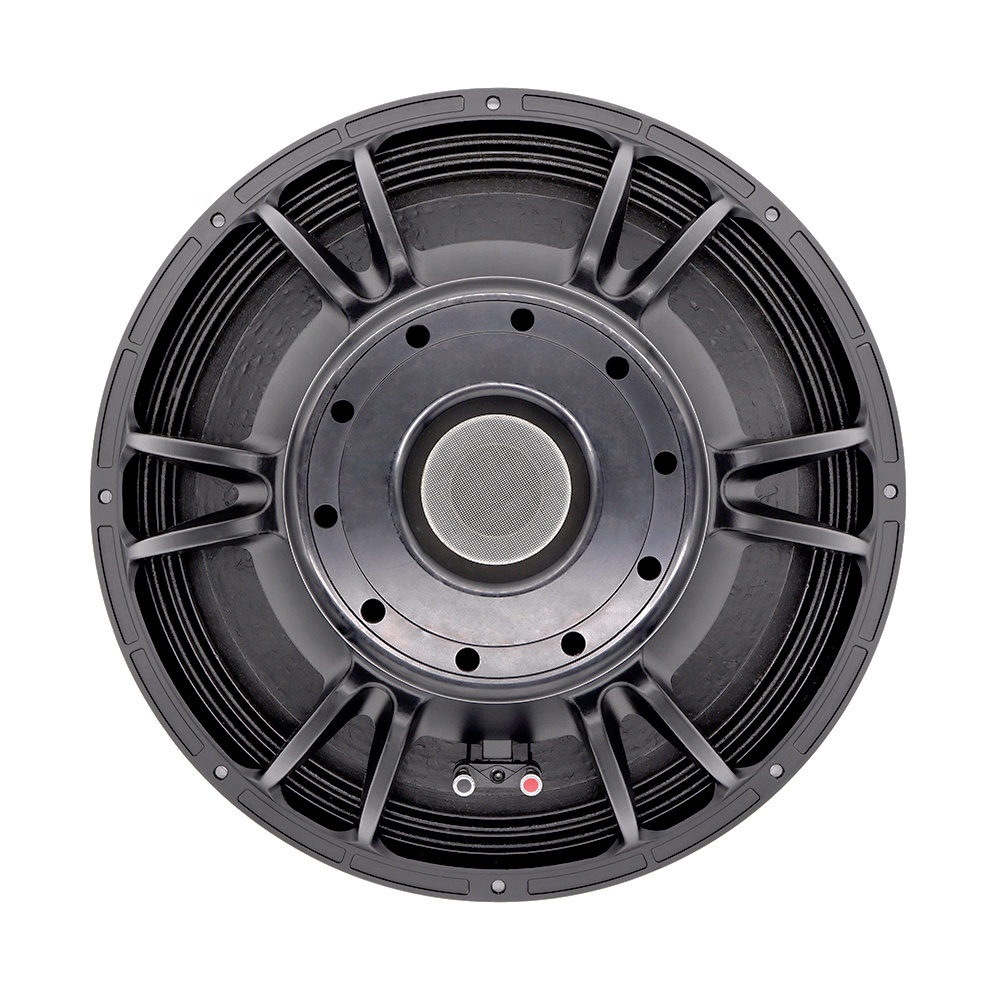 21'' Professioneel Audiosystee - Subwoofer recensie en prijs